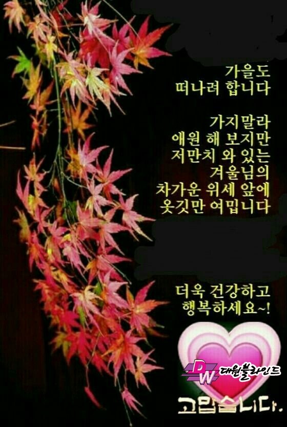경기지물포 이미지