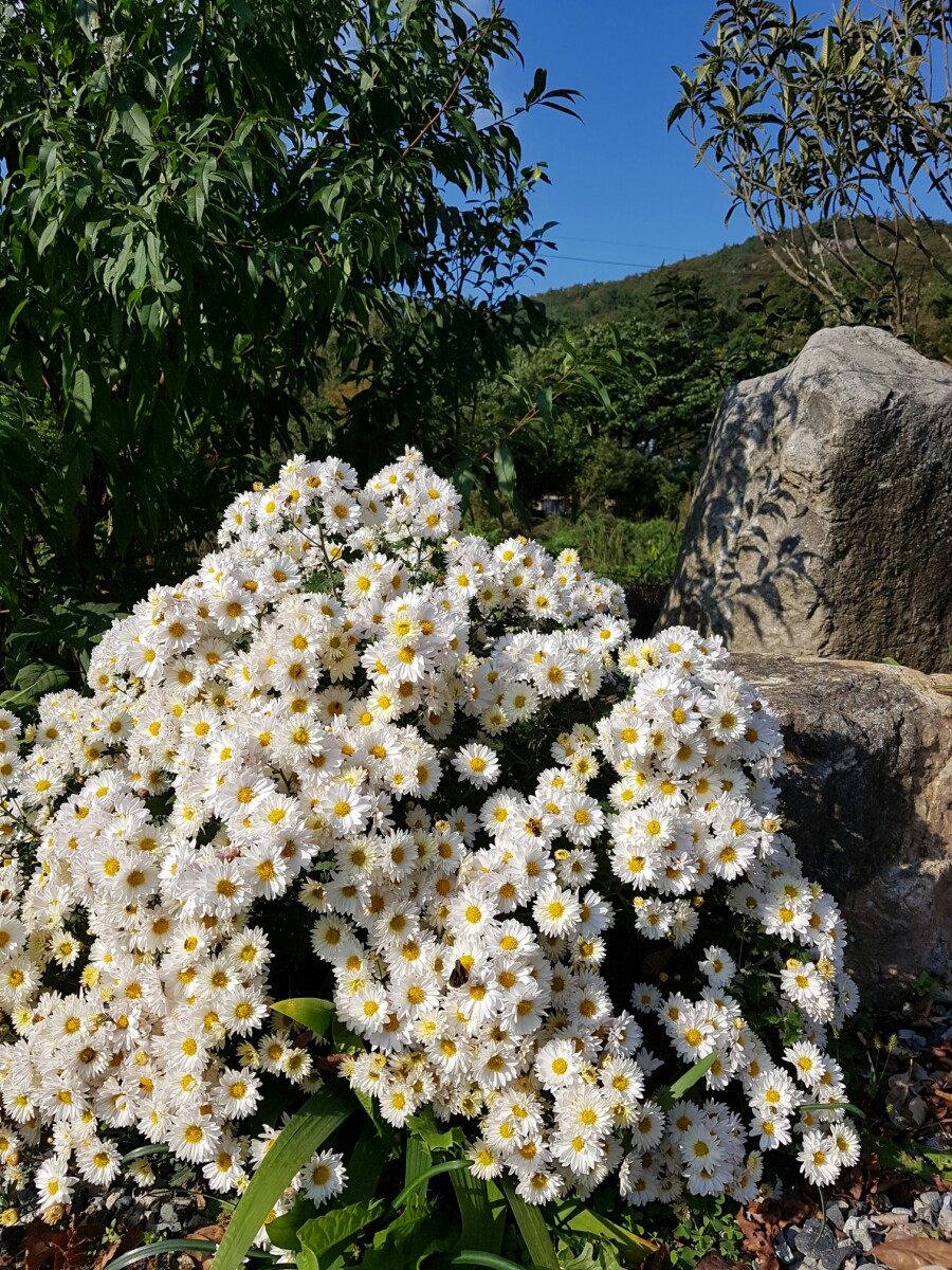 운림뜨락 이미지