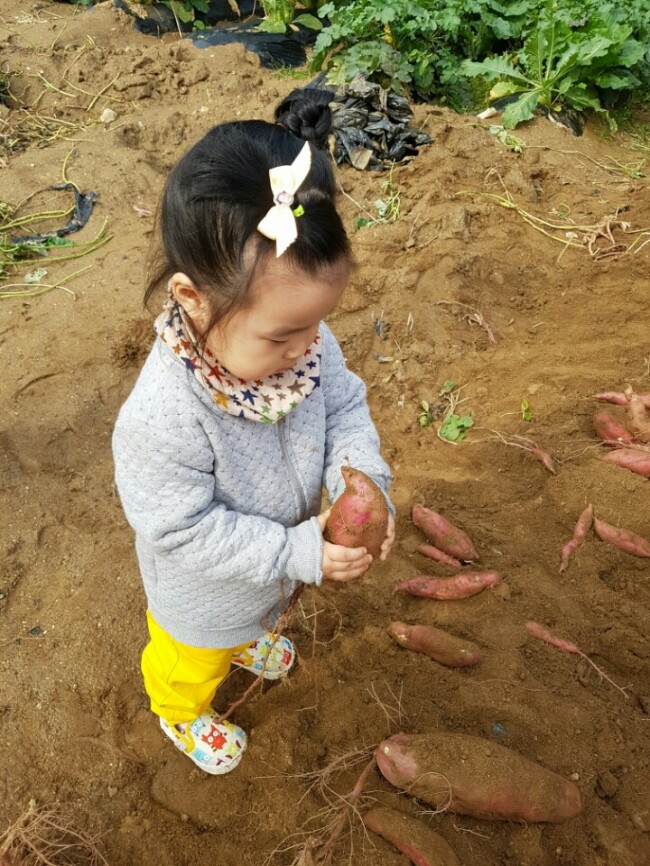 라원 이미지