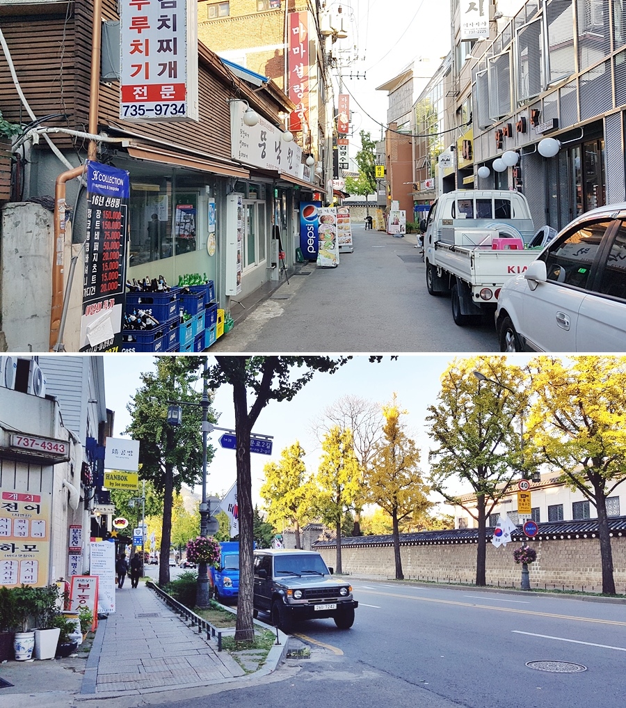보리마루1 이미지