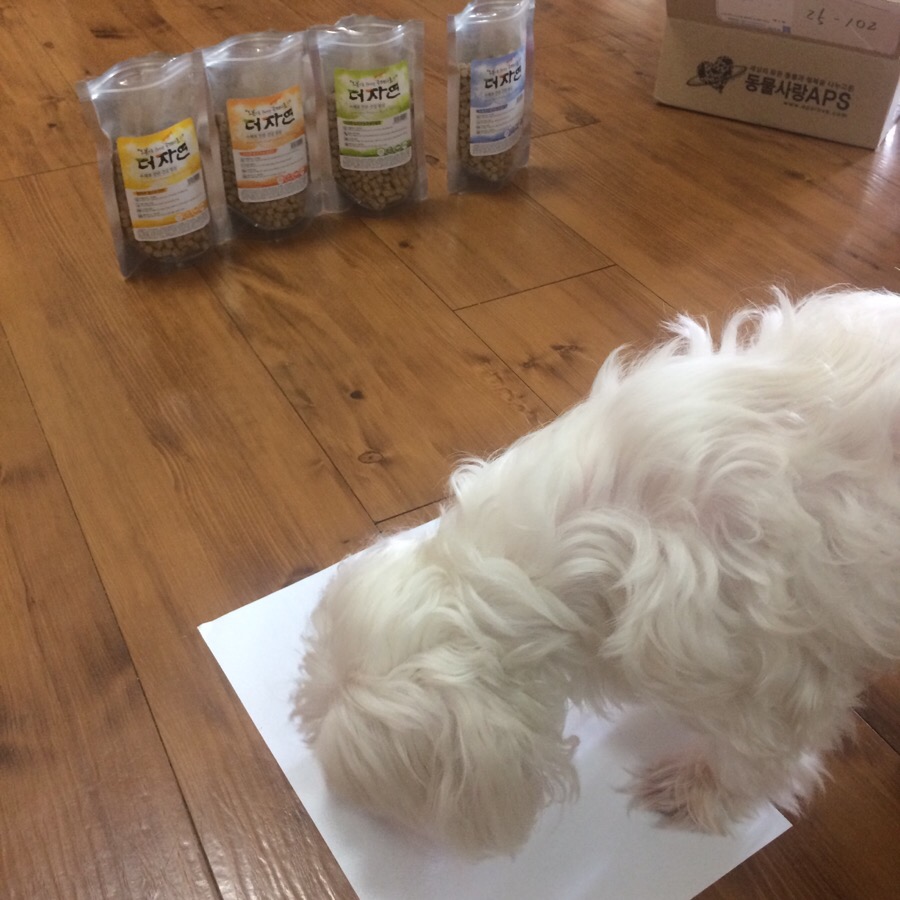 더자연건강 이미지