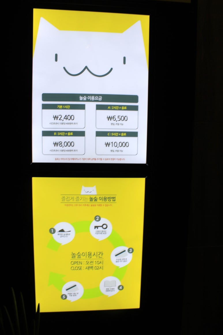 놀숲 화성병점점 이미지