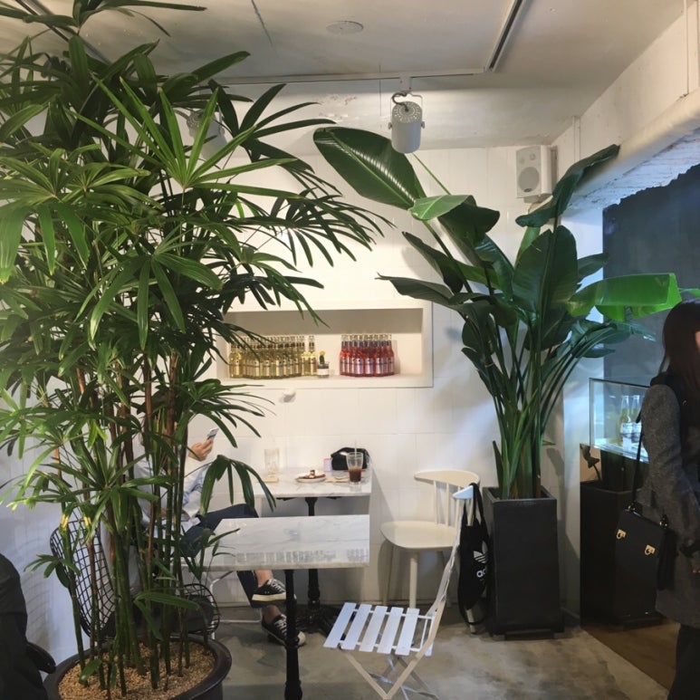 트레비엥 이미지