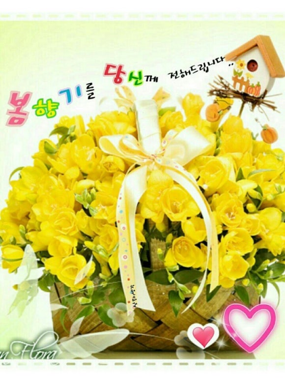 드보라화원 이미지