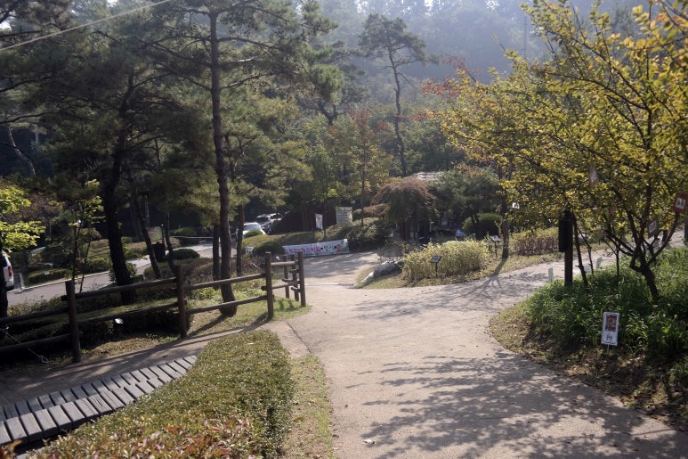 선화어린이집 이미지