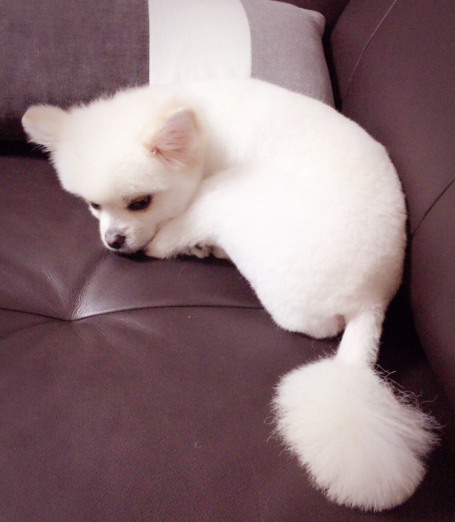 뚜레쥬르논산 이미지
