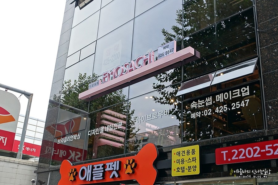 SK동호주유소 이미지