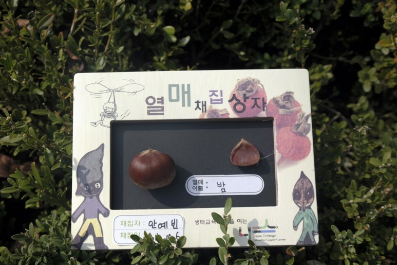 선화어린이집 이미지