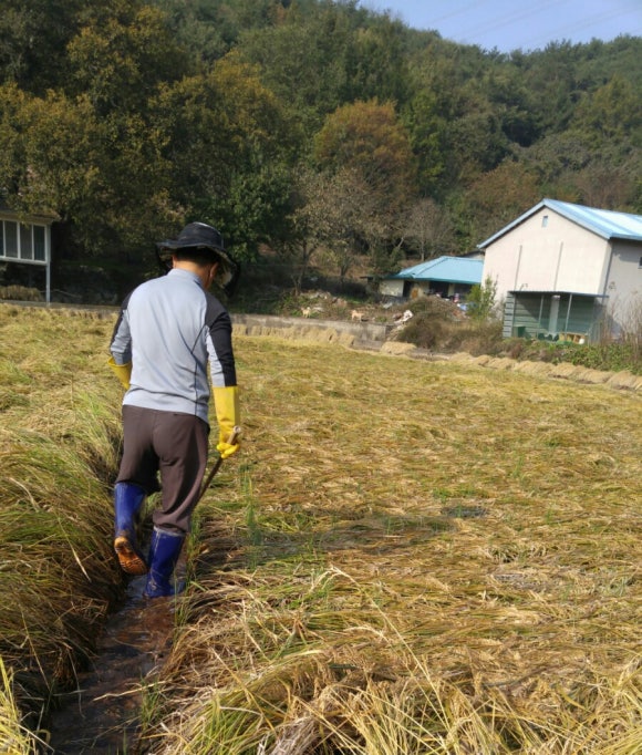 쌍방울농협 이미지