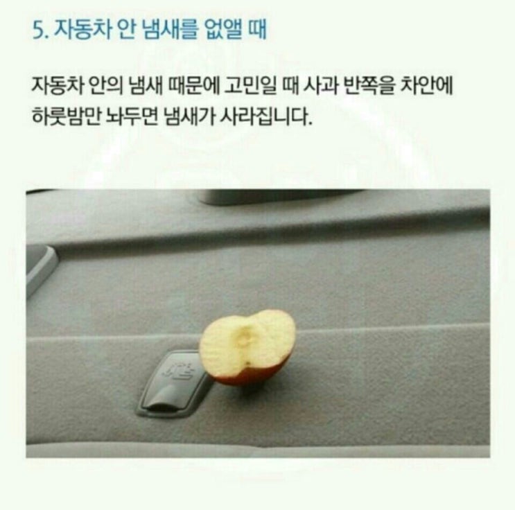 모닉 이미지