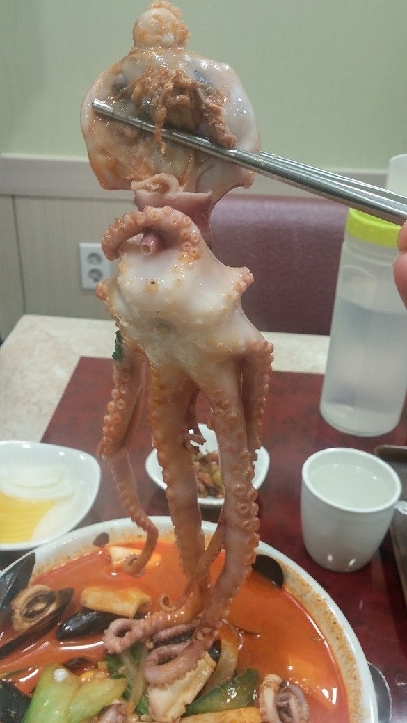 일품손짜장 이미지