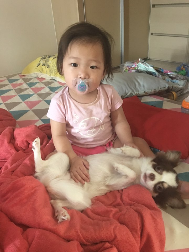 오토준 이미지