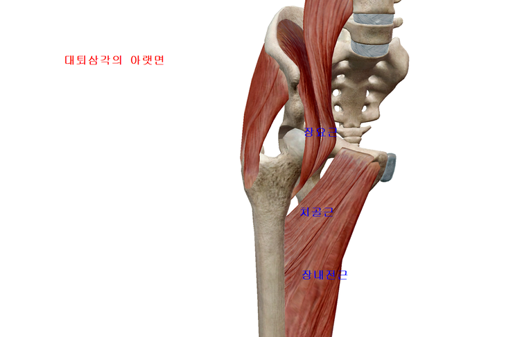 화목한의원 이미지