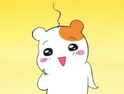 돈돈이 이미지