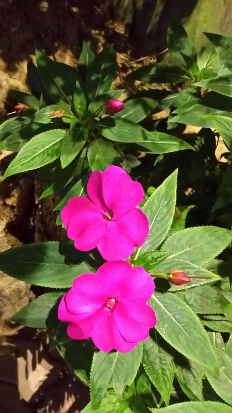 서일유통 이미지