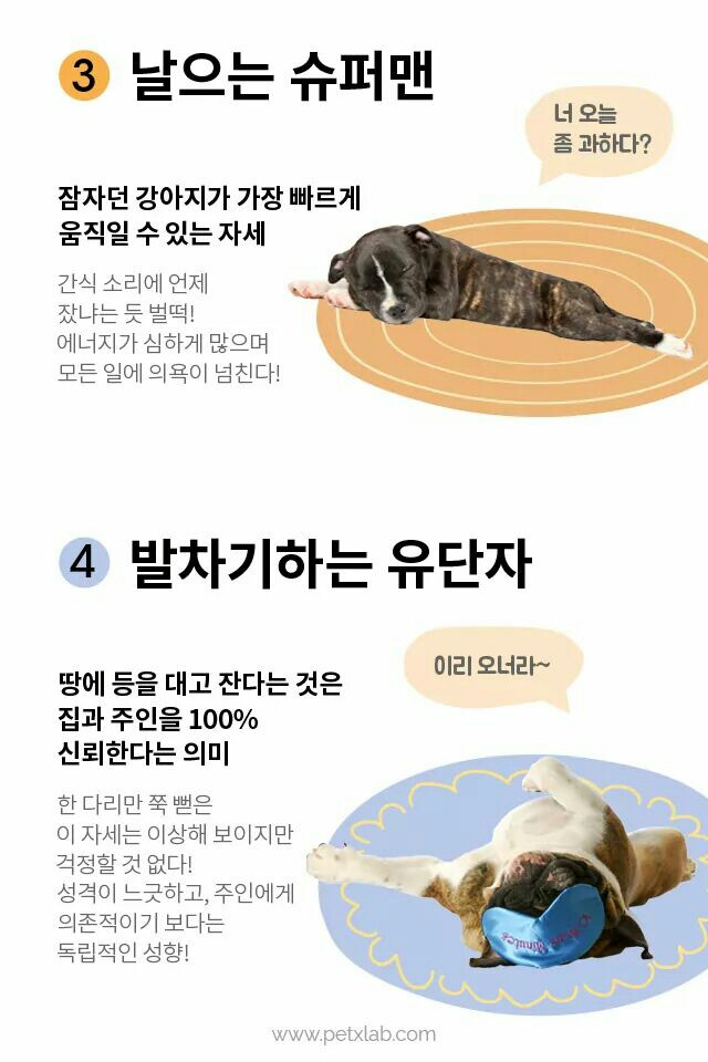 메르헨카페 이미지