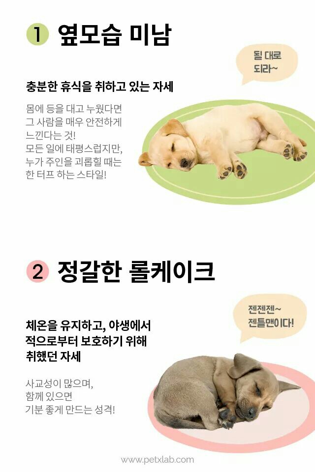 메르헨카페 이미지