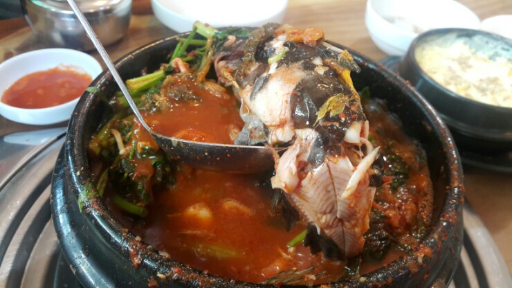 서남민물고기 이미지
