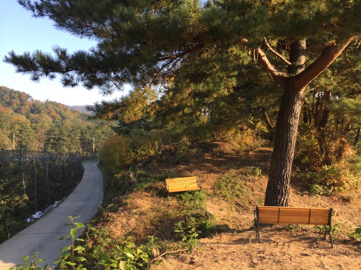 남산농장 이미지
