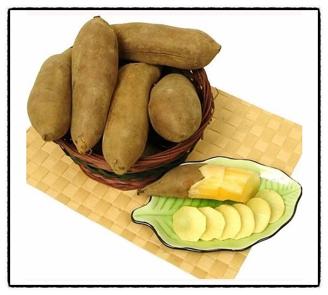 아삽야콘농원 이미지