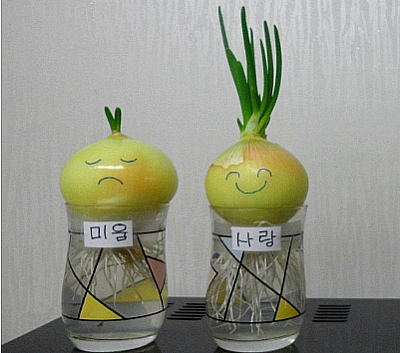 다지음 이미지
