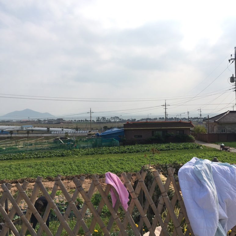금다원 이미지