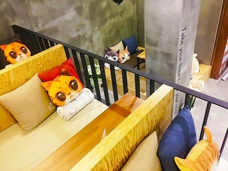 놀숲신부점 이미지