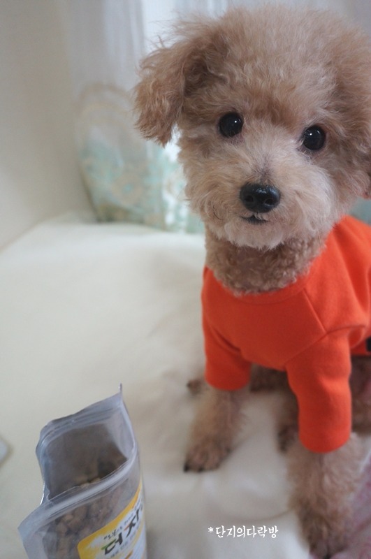 더자연건강 이미지