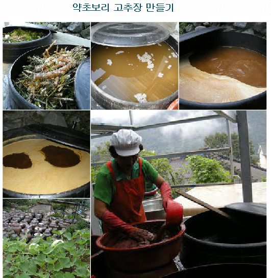 밀양구배기된장 이미지