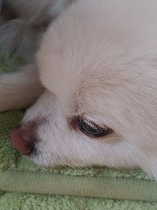 (주)포몬스 이미지