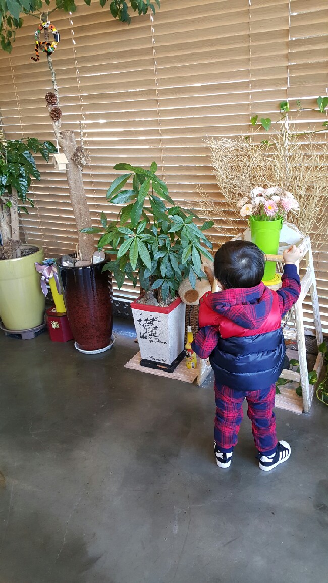 홍익돈까스천안1호점 이미지