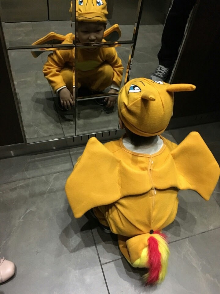 (주)젤미 이미지