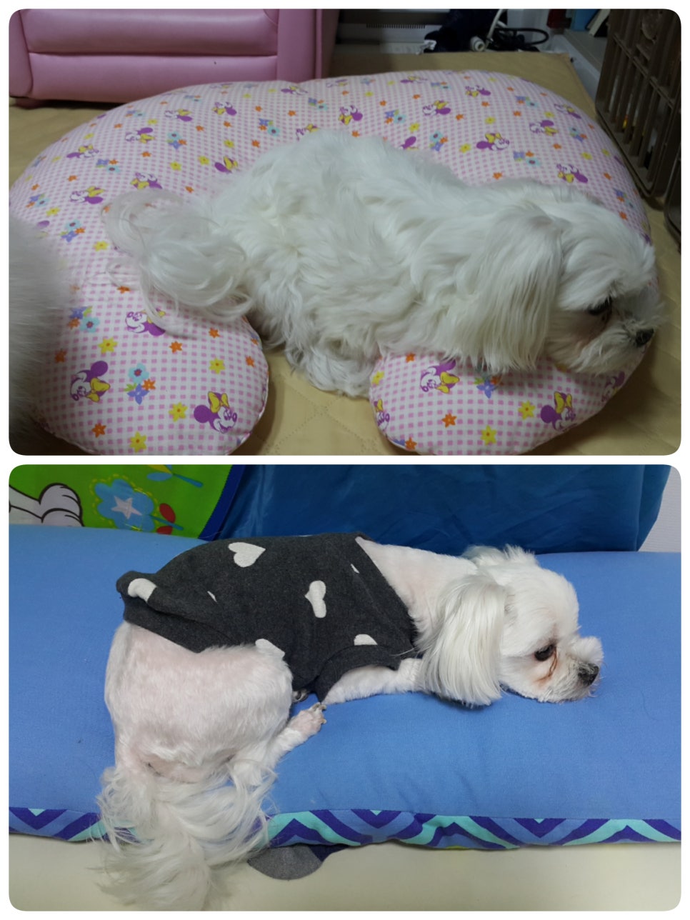 앵두미용실 이미지