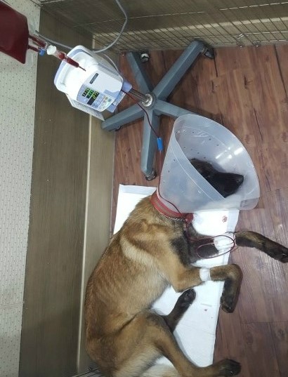 한라샘 이미지
