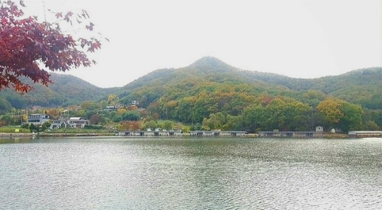 진우낚시터 이미지