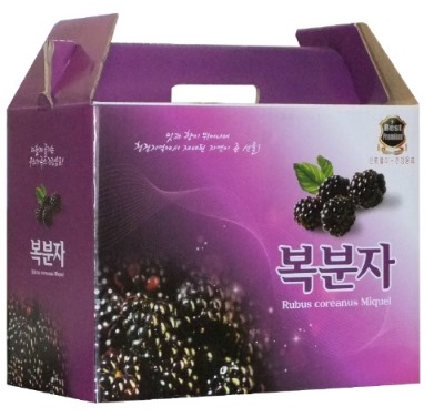 국일피앤피(주) 이미지