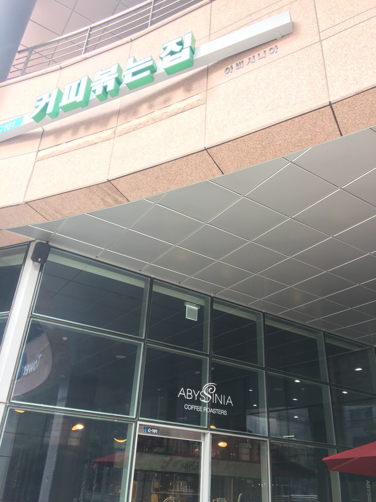 아비시니아 이미지