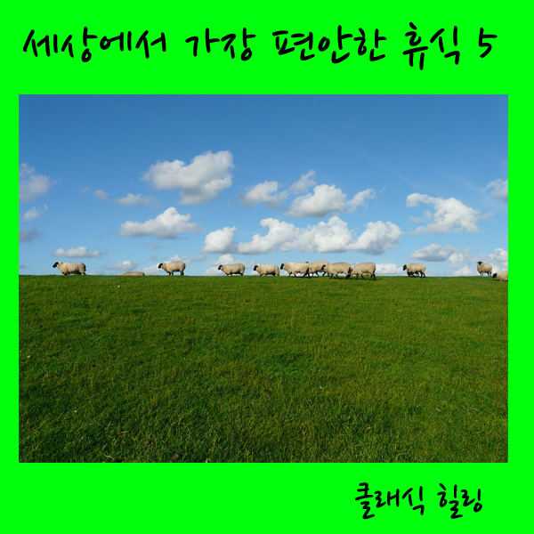 몸편안세상 이미지