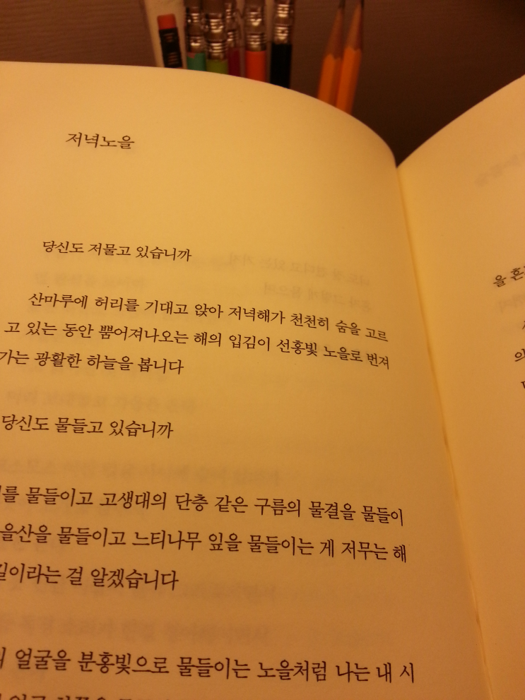 저녁숲 이미지
