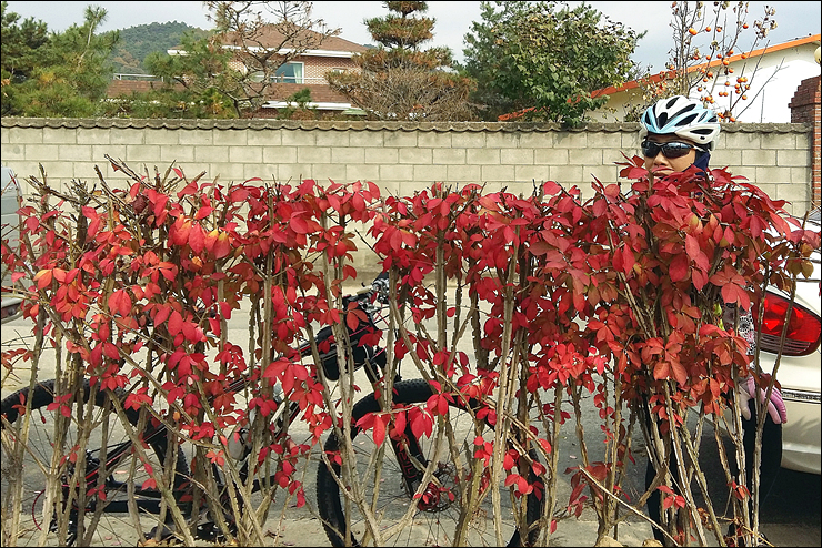 칠성세탁소 이미지