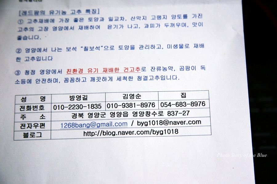 레드팜 이미지