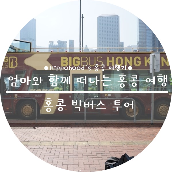 트램라인투어 이미지