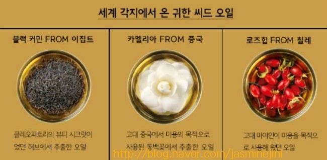 라이프바디샵 이미지
