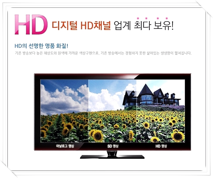 씨엔엠 이미지