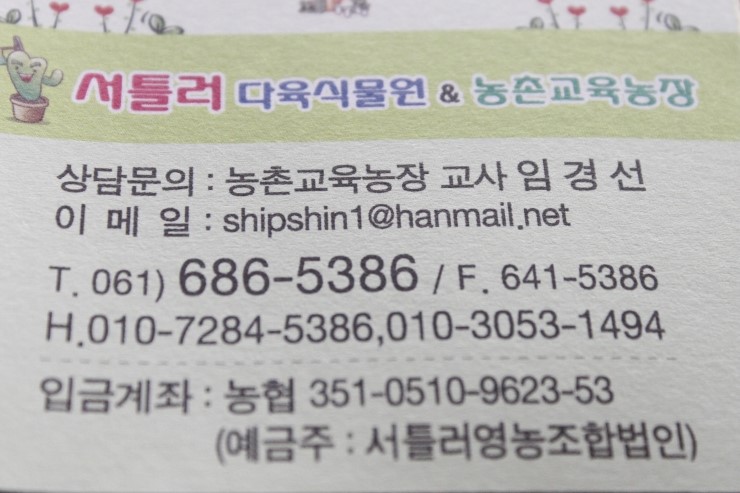 다육식물체험장 이미지