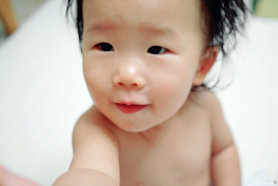 단감테라피 이미지
