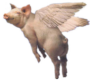 복돼지 이미지