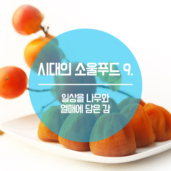 나무소울 이미지