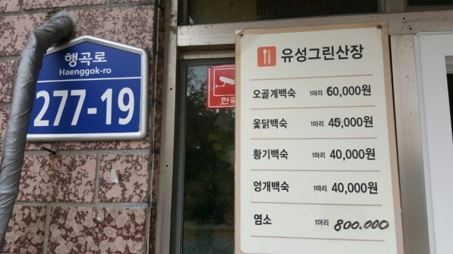 그린산장 이미지