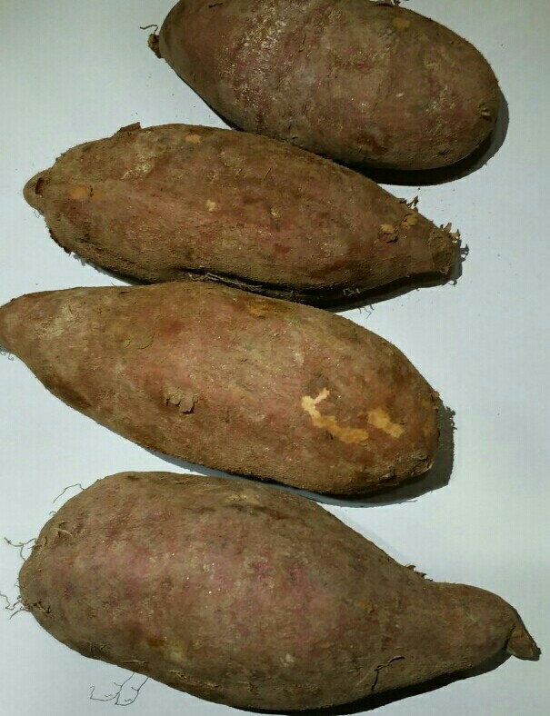 대성농산물 이미지